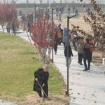 3 МЫҢНАН АСТАМ АДАМ ҚАТЫСЫП, 11 МЫҢҒА ЖУЫҚ КӨШЕТ ЕГІЛГЕН СЕНБІЛІК