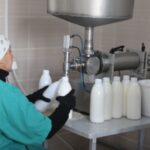 ШАҒЫН КӘСІП – АУЫЛ ДАМУЫНЫҢ ТІРЕГІ  (3-бөлім)