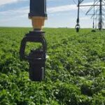 ТҮРКІСТАН ОБЛЫСЫНДА 114 МЫҢ ГЕКТАР ЖЕРГЕ СУ ҮНЕМДЕУ ТЕХНОЛОГИЯЛАРЫ ЕНГІЗІЛГЕН.